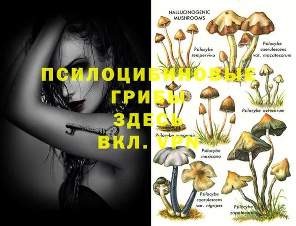 круглые Алексин
