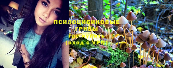 амф Алзамай