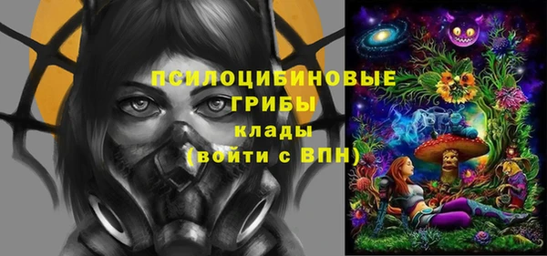 бутират Алексеевка