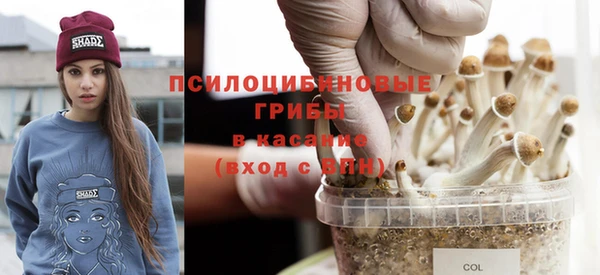 амф Алзамай