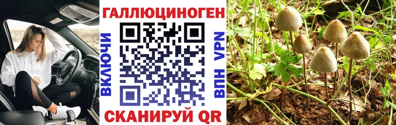 купить наркотик  Кудымкар  Галлюциногенные грибы ЛСД 